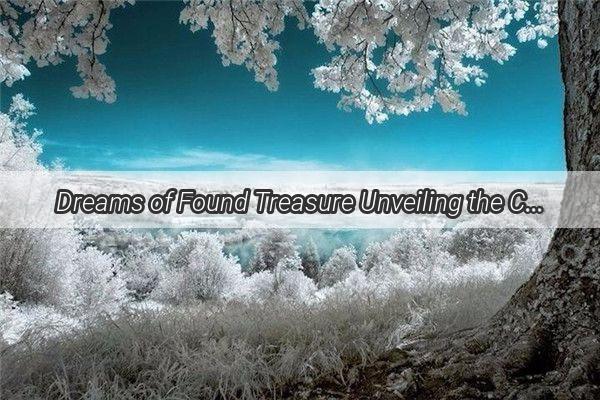 Dreams of Found Treasure Unveiling the Curious Tale of a Refrigerator Discovery